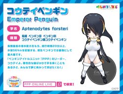 Rule 34 | 1girl, black hair, emperor penguin (kemono friends), highres, kemono friends, long hair, looking at viewer, official art, one eye closed, penguin girl, penguin tail, solo, tail, yoshizaki mine