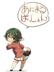 Rule 34 | animal ears, arm up, black footwear, brown shirt, commentary request, dog ears, dog tail, from behind, full body, green eyes, green hair, kasodani kyouko, leaning forward, looking back, shirt, shoes, short hair, simple background, skirt, smile, solo, tail, thighhighs, touhou, translation request, white background, white skirt, white thighhighs, yudepii