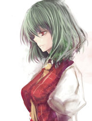 Rule 34 | 1girl, ascot, between breasts, breasts, clothes between breasts, female focus, green hair, kazami yuuka, light smile, plaid, plaid vest, profile, puffy sleeves, red eyes, short hair, skirt, solo, tetsuo (tashirosu), touhou, upper body, vest, white background