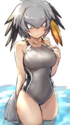 Rule 34 | 1girl, adapted costume, bare arms, bare legs, bare shoulders, bird tail, bird wings, blonde hair, blush, collarbone, competition swimsuit, cowboy shot, green eyes, grey hair, grey one-piece swimsuit, guchico, hair tie, head wings, japari symbol, kemono friends, multicolored hair, one-piece swimsuit, partially submerged, shoebill (kemono friends), short hair, solo, swimsuit, tail, wading, water, wings