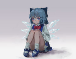 Rule 34 | blouse, blue dress, blue eyes, blue footwear, blue hair, blue ribbon, bow, cirno, dress, dress shirt, fairy wings, hair bow, highres, ice, ice wings, mary janes, pinafore dress, puffy short sleeves, puffy sleeves, red bow, red ribbon, reddizen, ribbon, shirt, shoes, short hair, short sleeves, sleeveless dress, socks, solo, touhou, white shirt, wing collar, wings