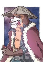 Rule 34 | 1boy, absurdres, animal ears, artist name, brown gloves, coat, commentary, dog boy, dog ears, english commentary, fur coat, gloves, hat, highres, inuarashi (one piece), male focus, one piece, open mouth, scar, scar on face, sharp teeth, solo, sunglasses, sword, teeth, tongue, tongue out, v-shaped eyebrows, weapon, zerucheese