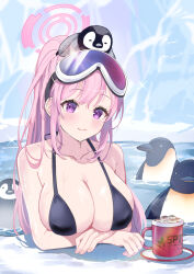 Rule 34 | 1girl, animal, animal on head, bikini, bird, bird on head, black bikini, blue archive, blush, breasts, cleavage, closed mouth, collarbone, cup, day, eimi (blue archive), eimi (swimsuit) (blue archive), eyewear on head, goggles, goggles on head, halo, large breasts, long hair, official alternate costume, on head, outdoors, penguin, pink eyes, pink hair, pink halo, ponytail, shan (ti0n), smile, solo, swimsuit, water