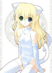 Rule 34 | 1girl, animal ears, blonde hair, blue eyes, cat ears, cat tail, csy, elbow gloves, gloves, green eyes, heterochromia, petite, solo, tail, thighhighs, white gloves, white thighhighs