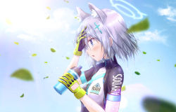 Rule 34 | 1girl, animal ear fluff, animal ears, bike jersey, black sleeves, blue archive, blue eyes, blurry, blurry foreground, blush, cat ears, collarbone, day, from side, gloves, hair between eyes, halo, highres, holding, leaf, medium hair, open mouth, outdoors, shiroko (blue archive), shiroko (cycling) (blue archive), short sleeves, silver hair, solo, tomonx, upper body, wet, wet hair, yellow gloves