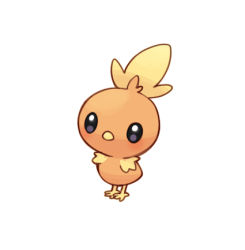 Rule 34 | bad id, bad twitter id, beak, black eyes, commentary request, creatures (company), full body, game freak, gen 3 pokemon, korean commentary, lowres, mongguri, nintendo, no humans, pokemon, pokemon (creature), simple background, solo, standing, toes, torchic, white background