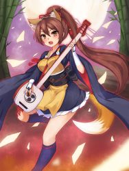 Rule 34 | 10s, 1girl, a (show by rock!!), animal ears, bamboo, bamboo forest, blue socks, brown eyes, brown hair, eruthika, forest, fox ears, fox tail, full moon, highres, instrument, japanese clothes, kitsune, kneehighs, long hair, looking at viewer, moon, music, nature, open mouth, petals, playing instrument, ponytail, shamisen, show by rock!!, socks, solo, tail, very long hair