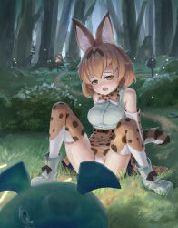 Rule 34 | 10s, 2girls, alexoso, animal ears, bare shoulders, belt, black hair, blush, boots, bow, bowtie, breasts, brown eyes, bush, cellien (kemono friends), fireflies, forest, fox ears, grey wolf (kemono friends), head tilt, high-waist skirt, highres, kemono friends, looking at another, medium breasts, multiple girls, nature, on ground, panties, pantyshot, path, road, scared, serval (kemono friends), serval print, serval tail, shirt, sign, sitting, skirt, sleeveless, sleeveless shirt, spread legs, striped tail, sweat, tail, thighhighs, tree, underwear, white footwear, white panties, white shirt, winding key, wolf ears
