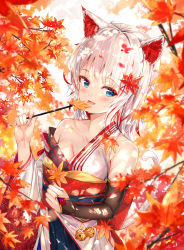 Rule 34 | 1girl, :d, absurdres, animal ear fluff, animal ears, autumn, autumn leaves, bell, blue eyes, blush, branch, bridal gauntlets, cat ears, cat girl, cat tail, commentary request, fang, highres, holding, holding leaf, japanese clothes, jingle bell, kimono, leaf, long hair, long sleeves, maple leaf, multicolored hair, na kyo, obi, open mouth, original, red hair, sash, sideways glance, simple background, single bridal gauntlet, single sleeve, skin fang, smile, solo, streaked hair, tail, tail raised, white kimono