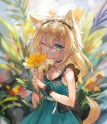 Rule 34 | 1girl, animal ear fluff, animal ears, arknights, black bow, black choker, black hairband, blonde hair, bow, choker, collarbone, dog ears, dog girl, dog tail, dress, flower, green dress, green eyes, hair between eyes, hairband, highres, holding, holding flower, long hair, looking at viewer, official alternate costume, one eye closed, plant, podenco (arknights), podenco (wake up from a nap) (arknights), pouch, smile, solo, spacelongcat, tail, tongue, tongue out, upper body, wrist cuffs