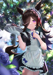 Rule 34 | 1girl, animal ears, apron, black dress, blurry, blurry background, blurry foreground, blush, brown hair, center frills, collared dress, commentary, cowboy shot, cup, day, dot nose, dress, flower, food, frills, fruit, gazebo, gloves, grapes, hair over one eye, hair ribbon, hand on own chest, highres, holding, holding tray, horse ears, horse girl, horse tail, lens flare, light rays, long hair, looking at viewer, maid, maid headdress, outdoors, petals, petticoat, plant, puffy short sleeves, puffy sleeves, purple eyes, purple flower, purple rose, resolution mismatch, ribbon, rice shower (umamusume), rose, short sleeves, single glove, smile, solo, source larger, split mouth, sunbeam, sunlight, tail, tray, umamusume, vines, waist apron, wanderlucia, white gloves