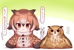 Rule 34 | 10s, 2girls, animal ears, bird, blush, brown eyes, brown hair, coat, commentary request, eurasian eagle owl (kemono friends), fur collar, gradient background, grey hair, hair between eyes, head wings, kemono friends, long sleeves, looking at viewer, multicolored hair, multiple girls, northern white-faced owl (kemono friends), owl, realistic, short hair, speech bubble, sukemyon, sweatdrop, translation request, white hair, wings
