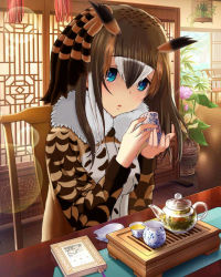 Rule 34 | 10s, 1girl, animal ears, artist request, blue eyes, brown hair, chair, coat, commentary request, cosplay, eurasian eagle owl (kemono friends), eurasian eagle owl (kemono friends) (cosplay), flower pot, fur collar, hair between eyes, head wings, holding, idolmaster, idolmaster cinderella girls, indoors, kemono friends, long hair, long sleeves, looking at viewer, multicolored hair, plant, potted plant, sagisawa fumika, sitting, solo, table, teapot, third-party edit, white hair, wings