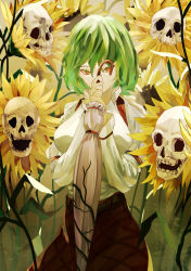 Rule 34 | 1girl, absurdres, arm strap, blouse, bone, breasts, commentary, covered mouth, covering own mouth, cowboy shot, english commentary, field, flower, flower field, green hair, hair between eyes, hands up, highres, holding, holding umbrella, kazami yuuka, large breasts, leaf, light particles, long sleeves, looking at viewer, naufaldreamer, overgrown, plant, plant roots, red eyes, red skirt, shirt, short hair, sidelocks, skirt, skull, solo, sunflower, teeth, touhou, tsurime, two-handed, umbrella, white shirt, yellow flower