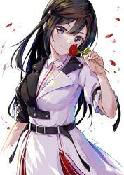 Rule 34 | 1girl, belt, black hair, breasts, commentary, flower, grey eyes, hair ornament, hairclip, highres, holding, holding flower, long hair, looking at viewer, love live!, love live! nijigasaki high school idol club, medium breasts, one side up, petals, red flower, red rose, rose, rose petals, setsu (qjsj1993aa), sidelocks, signature, smile, solo, swept bangs, upper body, white background, yuki setsuna (love live!)
