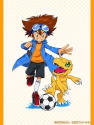 Rule 34 | 1boy, agumon, ball, black shorts, blue headband, blue raincoat, brown eyes, brown hair, child, commentary request, crests (digimon), digimon, digimon (creature), digimon adventure, drawstring, gloves, goggles, goggles on head, grin, headband, highres, official art, open mouth, orange shirt, puddle, raincoat, shirt, shoes, shorts, smile, sneakers, soccer ball, socks, unworn gloves, water, water drop, white socks, yagami taichi