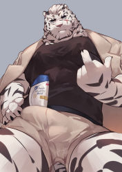 Rule 34 | 1boy, absurdres, animal ears, arknights, bara, black shirt, blue eyes, boxer briefs, bulge, cowboy shot, erection, erection under clothes, from below, furry, furry male, guoguo, hand on own hip, highres, jacket, jacket on shoulders, large pectorals, male focus, male underwear, middle finger, mountain (arknights), muscular, object on bulge, pectorals, scar, scar across eye, scar on face, shampoo bottle, shampoo challenge, shirt, short hair, solo, tail, thick thighs, thighs, tiger boy, tiger ears, tiger stripes, tiger tail, underwear, white hair