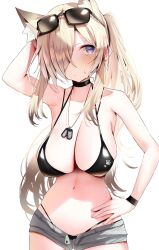 Rule 34 | 1girl, animal ear fluff, animal ears, arm behind head, bikini, black bikini, black wristband, blonde hair, blue archive, blue eyes, breasts, cleavage, cowboy shot, denim, denim shorts, dog tags, extra ears, eyewear on head, hair over one eye, hand on own hip, high ponytail, highres, jewelry, kanna (blue archive), large breasts, long hair, navel, necklace, nidaime (doronbo), open clothes, open shorts, short shorts, shorts, simple background, solo, sunglasses, swimsuit, white background, wristband