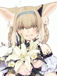 Rule 34 | 1girl, animal ear fluff, animal ears, arknights, bare shoulders, black collar, blonde hair, blue hairband, braid, collar, commentary, dress, earpiece, flower, fox ears, green eyes, hair over eyes, hairband, holding, holding flower, infection monitor (arknights), longmoon0909, looking at viewer, material growth, oripathy lesion (arknights), simple background, smile, solo, suzuran (arknights), upper body, white background, white dress, white flower