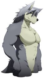 Rule 34 | 1boy, abs, animal ears, bad id, bad twitter id, bara, completely nude, dog boy, dog ears, dog tail, furry, furry male, highres, kouya aotsuki, looking at viewer, male focus, morenatsu, muscular, muscular male, no penis, nude, pectorals, profile, samoji (beastlover), smile, tail, white background, yellow eyes