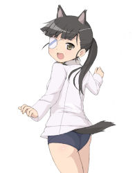 Rule 34 | 00s, 1girl, animal ears, bad id, bad pixiv id, eyepatch, nnyu, sakamoto mio, smile, solo, strike witches, tail, world witches series, aged down