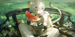 1boy absurdres animal animal_ears aoseagrass bench black_gloves black_headband cat chinese_clothes closed_mouth day eating facial_mark fingerless_gloves flower food food_on_face fruit gloves grass grey_eyes grey_hair headband highres holding holding_food holding_fruit leaf light lingyang_(wuthering_waves) lion_boy lion_ears lion_tail looking_afar male_focus mandarin_collar on_bench outdoors pants parted_bangs shirt short_hair sitting sleeveless sleeveless_shirt solo sunlight tail tassel watermelon white_flower white_pants wuthering_waves