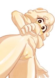 Rule 34 | 1girl, black eyes, blush, borrowed character, breasts, bright pupils, cleft of venus, colored skin, completely nude, egg (lemyawn), egg yolk, flustered, fried egg, from below, highres, looking at viewer, medium hair, monster girl, nipples, nose blush, nude, original, pussy, small breasts, solo, tanquito, tareme, tearing up, white background, white hair, white pupils, white skin