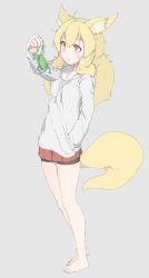 Rule 34 | 1girl, absurdres, ahoge, animal ears, bare legs, barefoot, bike shorts, blonde hair, closed mouth, commentary request, fox ears, fox girl, fox tail, frog, full body, grey background, hand in pocket, highres, holding, hood, hood down, hoodie, long hair, long sleeves, miniskirt, original, simple background, skirt, solo, sorairo usagi, standing, tail, wavy mouth, yellow eyes