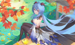 Rule 34 | 1girl, absurdres, ahoge, autumn leaves, back, backless outfit, black gloves, black legwear, blue hair, bow, breasts, detached sleeves, from behind, ganyu (genshin impact), genshin impact, gloves, gold trim, highres, horns, leaf, lily pad, long hair, looking at viewer, looking back, low ponytail, pond, purple eyes, qianchenyu77, sidelocks, sitting, smile, solo, tassel, thighlet, waist cape, white sleeves