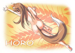 Rule 34 | 00s, animal ears, barefoot, dimples of venus, feet, holo, kouda tomohiro, nude, soles, solo, spice and wolf, tail, wolf ears, wolf tail