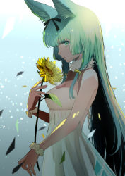 Rule 34 | 1girl, animal ear fluff, animal ears, aqua eyes, aqua hair, bare arms, bare shoulders, black ribbon, breasts, cleavage, closed mouth, cowboy shot, detached collar, dress, flower, from side, hair ribbon, highres, holding, holding flower, kigawa rin, long hair, looking at viewer, looking to the side, medium breasts, original, profile, ribbon, scrunchie, sideways glance, solo, straight hair, sunflower, sunflower petals, very long hair, white dress, wrist scrunchie, yellow flower, yellow ribbon