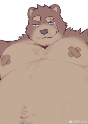 Rule 34 | 1boy, absurdres, animal ears, arange (youhei79384157), bandaid, bandaids on nipples, bara, bear boy, bear ears, big belly, brown fur, empty eyes, facial hair, from below, furry, furry male, goatee stubble, heterochromia, highres, large pectorals, looking at viewer, male focus, mature male, muscular, muscular male, mustache stubble, navel, navel hair, nude, original, pasties, pectorals, raised eyebrow, seductive smile, short hair, smile, solo, sparse chest hair, stomach, stubble, thick eyebrows, upper body