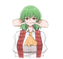 Rule 34 | 1girl, 1other, anger vein, ascot, breasts, bright pupils, commentary, english commentary, finger in another&#039;s mouth, green hair, highres, kazami yuuka, looking at viewer, mata (matasoup), medium breasts, medium hair, mouth pull, parted lips, plaid, plaid vest, puffy short sleeves, puffy sleeves, red eyes, red vest, sharp teeth, short sleeves, simple background, solo focus, teeth, touhou, upper body, vest, white background, white pupils, yellow ascot