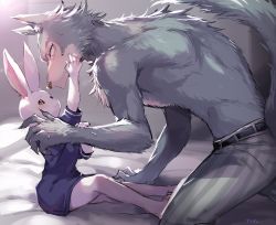 Rule 34 | 1boy, 1girl, animal ears, barefoot, beastars, bed sheet, belt, black belt, blue shirt, blush, brown eyes, eye contact, furry, furry female, furry male, furry with furry, haru (beastars), hetero, highres, legoshi, looking at another, pants, rabbit ears, rabbit girl, shirt, sitting, size difference, smile, striped clothes, striped pants, suurin (ksyaro), sweat, tail, topless male, translation request, wolf boy, wolf ears, wolf tail