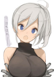 Rule 34 | 00s, 1girl, ahoge, bad id, bad pixiv id, bare shoulders, blue eyes, breasts, gloves, k (li), large breasts, melty blood, riesbyfe stridberg, short hair, silver hair, sleeveless, sleeveless turtleneck, solo, taut clothes, translated, tsukihime, turtleneck