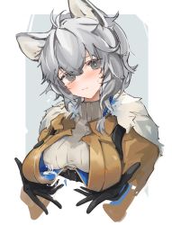 Rule 34 | 1girl, ahoge, animal ears, arknights, black gloves, blush, breasts, brown jacket, cliffheart (arknights), cliffheart (highlands visitor) (arknights), closed mouth, commentary, covered erect nipples, cropped torso, embarrassed, fur-trimmed jacket, fur trim, gloves, grey background, grey eyes, grey sweater, hair between eyes, head tilt, highres, jacket, lactation, lactation through clothes, leopard ears, looking at viewer, medium breasts, mikozin, official alternate costume, open clothes, open jacket, ribbed sweater, short hair, silver hair, simple background, solo, sweatdrop, sweater, tareme, turtleneck, turtleneck sweater, upper body, white background