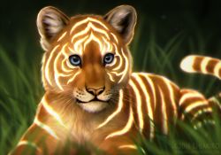 Rule 34 | 2016, blue eyes, chiakiro, closed mouth, commentary, cub, deviantart username, english commentary, face, glowing, lying, no humans, on stomach, original, solo, tiger, watermark, web address, whiskers
