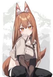 Rule 34 | 1girl, absurdres, animal ear fluff, animal ears, arknights, arms between legs, beudelb, black pants, blush, brown hair, brown tail, closed mouth, collared jacket, cowboy shot, crop top, cropped jacket, cropped shirt, expressionless, eyes visible through hair, fox ears, fox girl, fox tail, franka (arknights), franka (rainforest me rainbow) (arknights), grey jacket, grey shirt, highres, jacket, layered sleeves, long hair, long sleeves, looking at viewer, official alternate costume, open clothes, open jacket, orange eyes, pants, shirt, short over long sleeves, short sleeves, sitting, solo, strap, tail, tail raised, white background