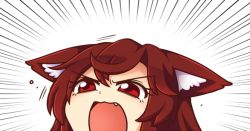 Rule 34 | 1girl, animal ear fluff, animal ears, brown hair, commentary, commission, emphasis lines, english commentary, eyelashes, fang, hair between eyes, imaizumi kagerou, long hair, meme, open mouth, red eyes, simple background, solo, touhou, very long hair, white background, wolf ears, wool (miwol)