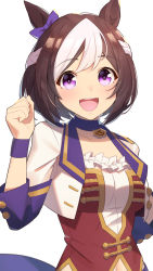 Rule 34 | 1girl, :d, animal ears, bow, brown hair, clenched hand, commentary, ear bow, highres, horse ears, horse girl, looking at viewer, multicolored hair, nonono (1399900), open mouth, purple bow, purple eyes, short hair, simple background, smile, solo, special week (umamusume), starting future (umamusume), two-tone hair, umamusume, upper body, white background, white hair