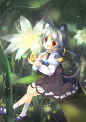 Rule 34 | 1girl, animal ears, bad id, bad pixiv id, basket, cheese, female focus, flower, food, fuyouchu, grey hair, jewelry, mini person, minigirl, mouse (animal), mouse ears, mouse tail, nature, nazrin, pendant, plant, red eyes, short hair, sitting, sitting on object, solo, tail, touhou