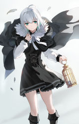 Rule 34 | 1girl, add (fate), ahoge, birdcage, black cape, black dress, black footwear, boots, cage, cape, closed mouth, commentary request, dress, emyo, fate/grand order, fate (series), fur trim, gray (fate), green eyes, grey background, hair between eyes, highres, holding, knee boots, long sleeves, looking at viewer, lord el-melloi ii case files, ribbon, sidelocks, silver hair, sleeves past wrists, solo focus, white ribbon
