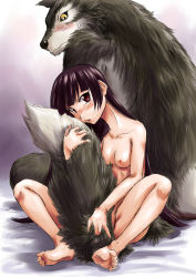 Rule 34 | 10s, 1boy, 1girl, back, back-to-back, barefoot, between legs, black hair, blush, breasts, feet, furry, furry male, furry with non-furry, gate - jieitai ka no chi nite kaku tatakaeri, hair censor, head tilt, highres, hugging another&#039;s tail, hugging tail, interspecies, long hair, looking at viewer, monster boy, nipples, nude, open mouth, puckered lips, purple hair, red eyes, rory mercury, sao satoru, sitting, small breasts, snout, soles, spread legs, sweatdrop, tail, tail between legs, toe scrunch, toes, wolf, wolf (gate)