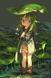 Rule 34 | 1girl, aqua eyes, blush, boots, brown footwear, child, cloneko (zelmeledf2), closed mouth, dress, expressionless, female focus, flat chest, full body, grass, green background, green hair, green pupils, green theme, hands up, highres, holding, holding leaf, jacket, leaf, leaf umbrella, light blush, long hair, long sleeves, open clothes, open jacket, original, own hands together, pigeon-toed, shiny skin, short dress, sidelocks, solo, standing, very long hair, white jacket, wide-eyed, yellow dress