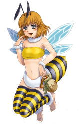 Rule 34 | 1girl, arthropod girl, bee, bee girl, bug, honey, honey bee (monster girl encyclopedia), honeybee, insect, insect girl, kenkou cross, monster girl, monster girl encyclopedia, wings