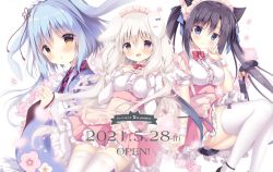 Rule 34 | 3girls, :d, :o, animal ears, apron, bell, black hair, blue eyes, blue hair, blue kimono, blush, bow, breasts, brown eyes, cat ears, cat girl, cat tail, center frills, closed mouth, collared shirt, commentary request, copyright request, dog ears, floral print, frilled apron, frilled skirt, frills, japanese clothes, jingle bell, kimono, large breasts, long hair, maid headdress, multiple girls, official art, open mouth, parted lips, petals, pink apron, pink bow, pink skirt, pleated skirt, print kimono, puffy short sleeves, puffy sleeves, purple eyes, shiratama (shiratamaco), shirt, short sleeves, skirt, smile, tail, tail bell, tail bow, tail ornament, thighhighs, twintails, very long hair, waist apron, white background, white hair, white legwear, white shirt, wrist cuffs