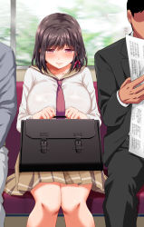 Rule 34 | 1girl, 2boys, aneshiko, bag, blush, braid, breasts, briefcase, brown hair, brown sailor collar, brown skirt, clenched hands, closed mouth, collarbone, hair ribbon, half-closed eyes, highres, holding, holding bag, indoors, knees together feet apart, large breasts, long sleeves, looking down, miniskirt, multiple boys, necktie, original, pink eyes, pink ribbon, pleated skirt, red necktie, ribbon, sailor collar, school bag, school briefcase, school uniform, seat, serafuku, shiny clothes, shirt, short hair, sidelocks, single braid, sitting, skirt, solo focus, straight-on, train interior, white shirt, window