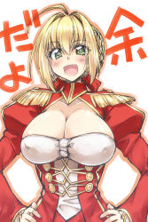 Rule 34 | + +, 10s, 1girl, :d, ahoge, blonde hair, blush, braid, breasts, cleavage, cleavage cutout, clothing cutout, collarbone, covered erect nipples, epaulettes, fate/extra, fate (series), french braid, green eyes, hair intakes, hair ribbon, hands on own hips, juliet sleeves, large breasts, long sleeves, mikagami sou, nero claudius (fate), nero claudius (fate), nero claudius (fate/extra), open mouth, puffy sleeves, ribbon, short hair, smile, solo, upper body