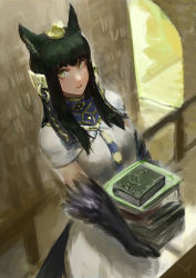 Rule 34 | 1girl, absurdres, animal ears, animal hands, anubis (monster girl encyclopedia), bad link, black hair, book, book stack, commission, dress, ex-trident, from above, green eyes, hair ornament, highres, holding, holding book, indoors, long hair, looking at viewer, looking up, monster girl, monster girl encyclopedia, necktie, parted lips, second-party source, snake hair ornament, solo, standing, white dress, wolf ears