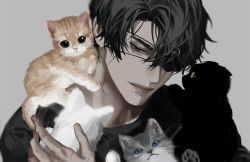 Rule 34 | 1boy, animal, black hair, black shirt, blackbox (blackbox9158), blouse, cat, commentary, eyepatch, grey background, grey eyes, holding, holding animal, holding cat, kitten, looking at another, male focus, omniscient reader&#039;s viewpoint, portrait, scar, shirt, short hair, smile, solo, spoilers, symbol-only commentary, yoo joonghyuk